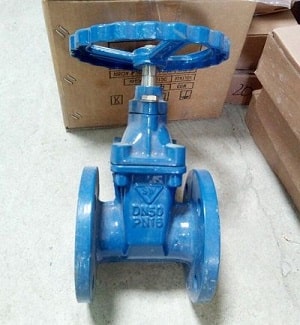 Van cổng DN50 gang kết nối mặt bích Van cổng DN50 gang kết nối mặt bích