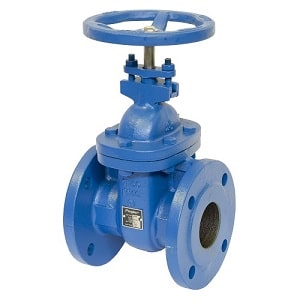 Van cổng gang mặt bích DN50 Van cổng gang mặt bích DN50