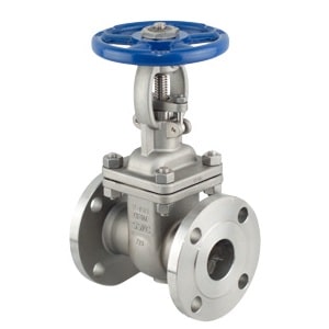 Van cổng inox DN50 nối bích BS PN16 Van cổng inox DN50 nối bích BS PN16