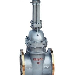 Van cổng thép WBC