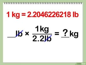 Pound to kg? 1 pound bằng bao nhiêu kilogram? Quy đổi 1 pound = kg