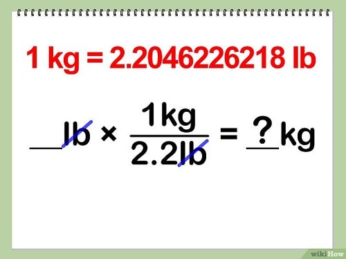 pound-to-kg-1-pound-b-ng-bao-nhi-u-kilogram-quy-i-1-pound-kg