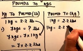 Pound to kg? Cách quy đổi giá trị pound sang kg chính xác và nhanh nhất